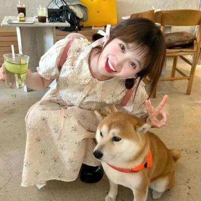 蜂群第一季